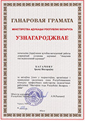 сертификат богачевой ирины